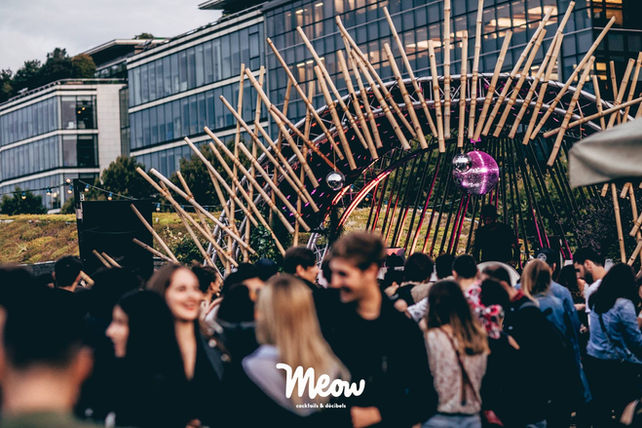 MEOW : Cocktails & décibels