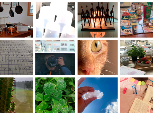 Concurso de Fotografia ~ 2.º ciclo