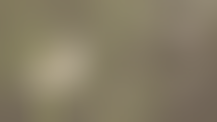 Vanity, All is Vanity