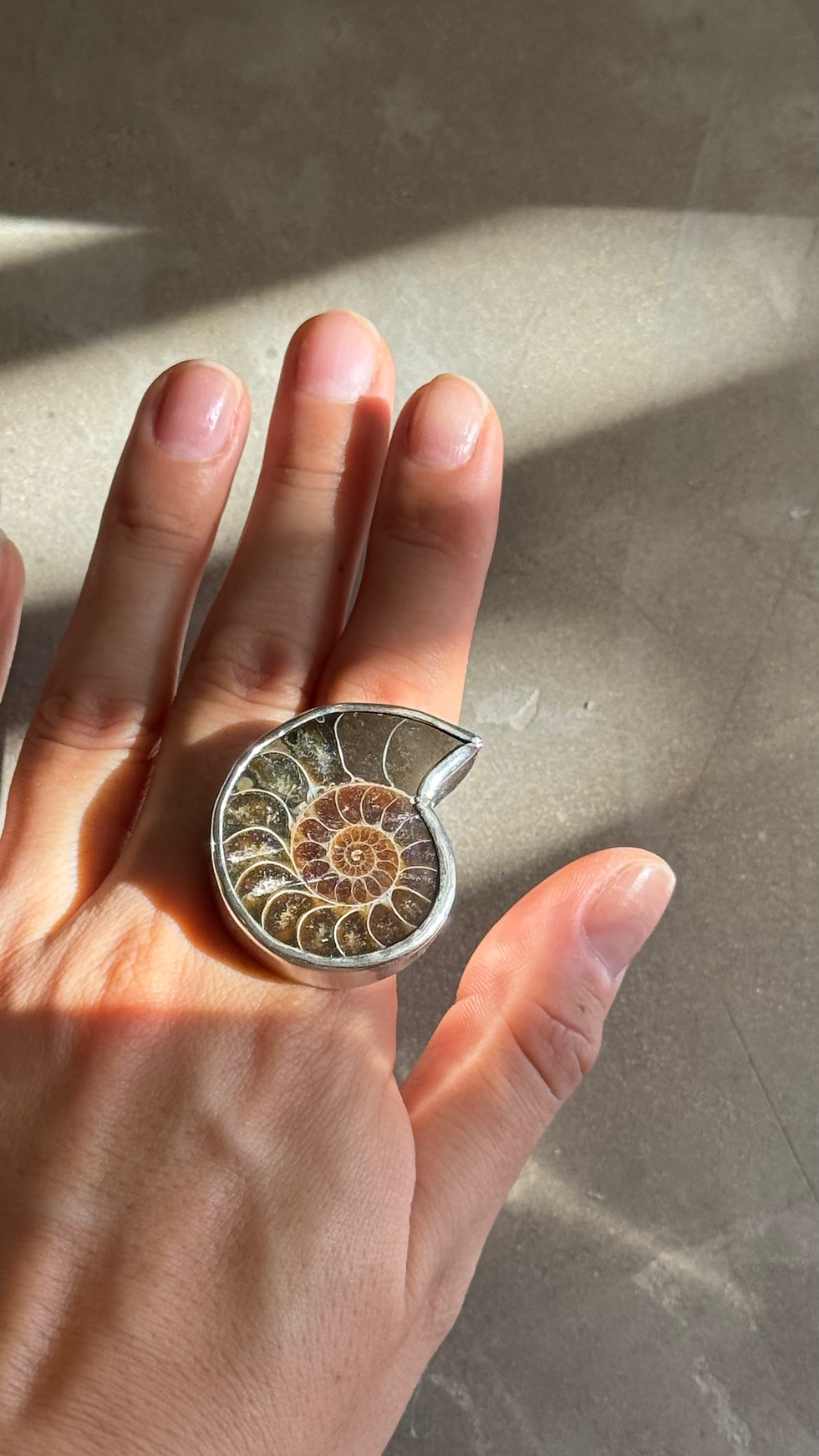 Miniatura: Anillo Amonita