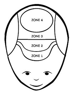 micro hair pigmentation zones