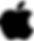 apple brand logo