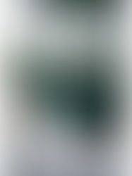 Luz & Romain / París, Fr.