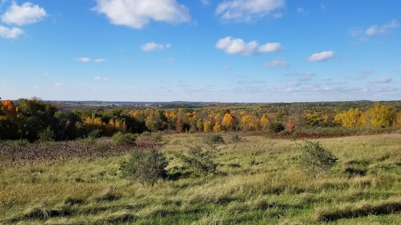 Weddings Big Rock Creek United States