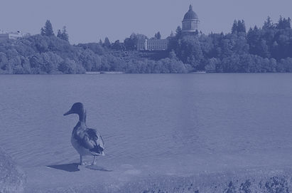 Duck%2520Cap%2520Lake_edited_edited.jpg