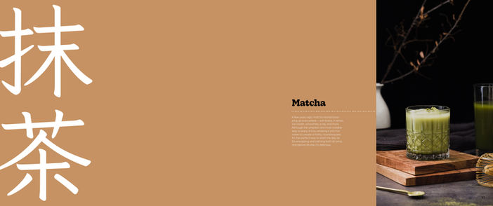 Boba Book Page22.jpg