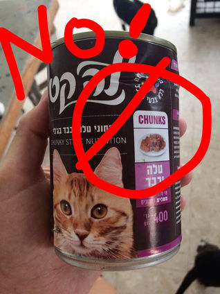 WHY WEANING KITTENS MUST ONLY BE FED VERY SOFT, HIGH QUALITY WET FOOD