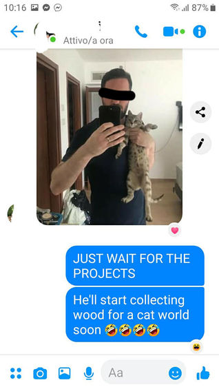 WHY ARE GUYS SO WEIRD ABOUT ADOPTING CATS?
