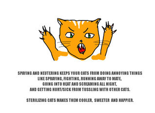 Spay and neuter..EVERYTHING IN SIGHT!