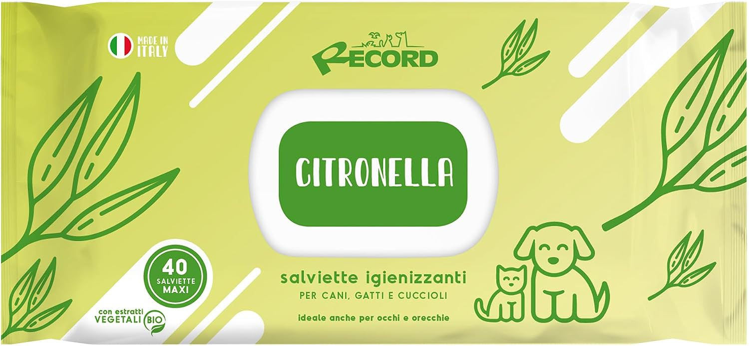 Salviette Igienizzanti Maxi 40 pz -Citronella