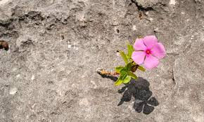 İNANMANIN DERİNLİKLERİ