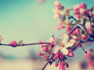 HANGİ MASALDA GEÇELİM?