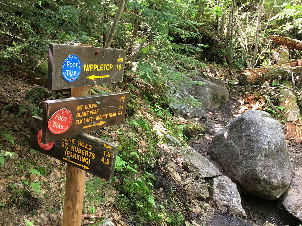 Finding Trails