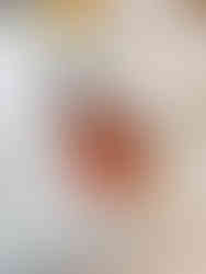 Buttermilk panna cotta pot with strawberry popping pearls, pistachio dusting, and chocolate butterfly perched on the top.