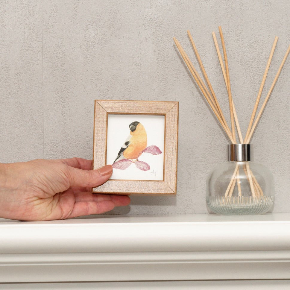 Bullfinch miniature print by Alan Taylor Art