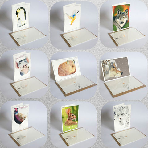 Greeting Cards featuring wildlife art by Alan Taylor