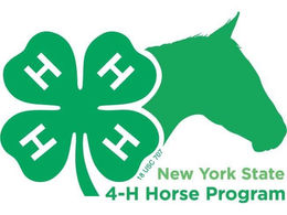February - March NYS 4-H Horse Program Newsletter