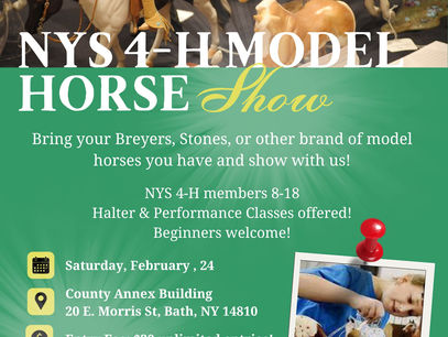 NYS 4-H Model Horse Show