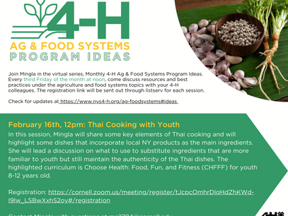 4-H Ag & Food Systems Program Ideas