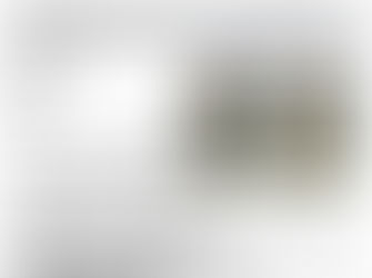 NYS 4-H Dairy Judging Series