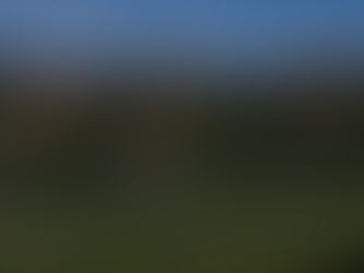 Rustic Canyon - Golf Course vs Golf Experience