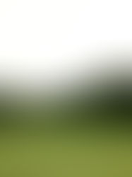 The Completely Unbiased, 100% Scientific Golf Course Ranking System - Update