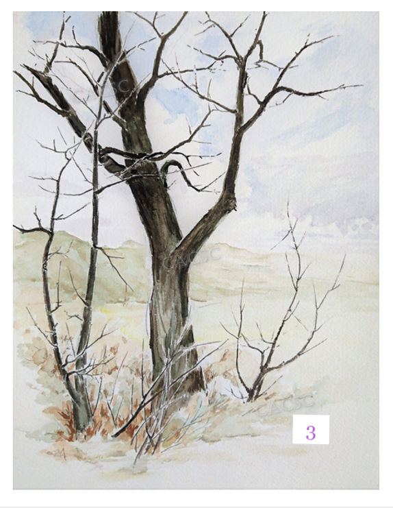 Thumbnail: T.Winter Trees 1
