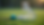 Lacrosse stick and ball on grass
