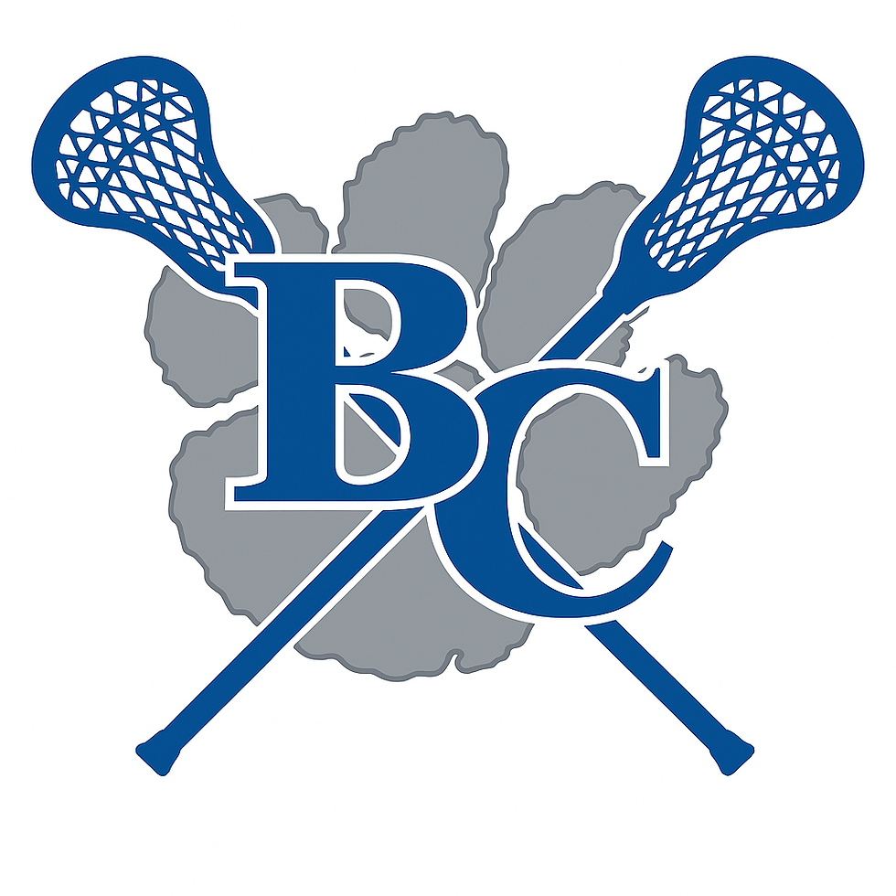 BCHS Varsity vs. Naples District Tournament Game