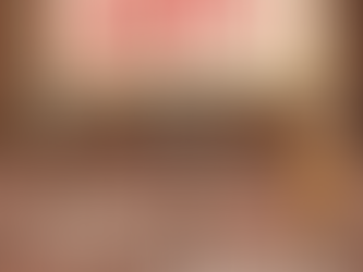 đ The Renaissance is Coming to New Port Richey!