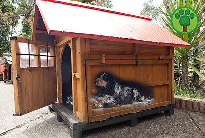 Solicita Cotización