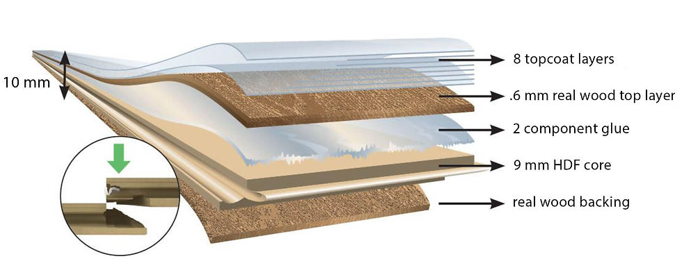 Maison Plank flooring construction diagram showing layered wood veneer, Titanium Ultra finish, HDF core, and real wood backing