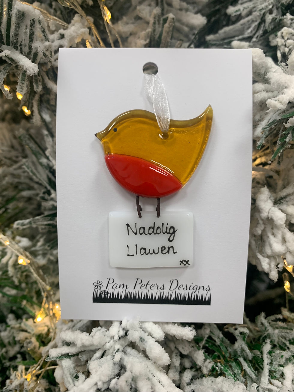 Thumbnail: Robin with Letter - Nadolig Llawen
