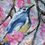 Thumbnail: Little Blue Bird