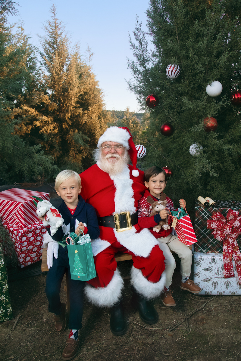 Santa poses with two little brothers as they clutch the gifts he has just given them, set among fir trees adorned with christmas decorations