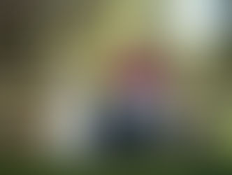 Family Photos with Senior Pets | Yountville, California