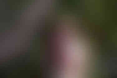 man caressing pregnant wife's belly, standing on a bridge