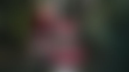 2025 Santa Holiday Mini Sessions in Ventura County