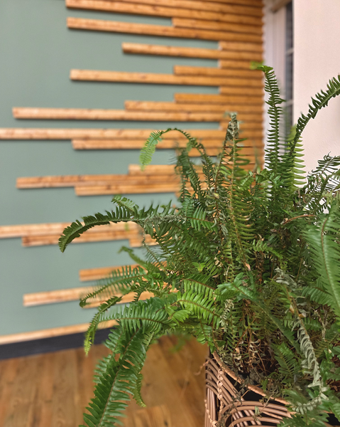 textured wall decor at 1222 private events aurora