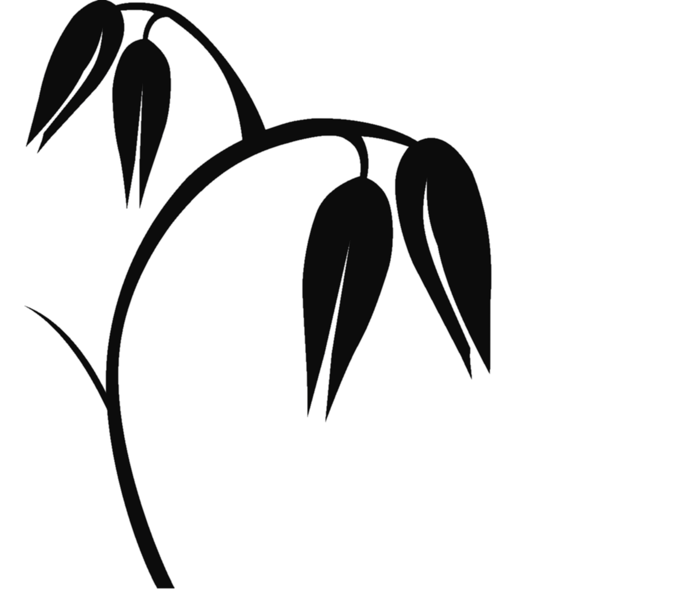 balancal_logo_edited_edited_edited.png