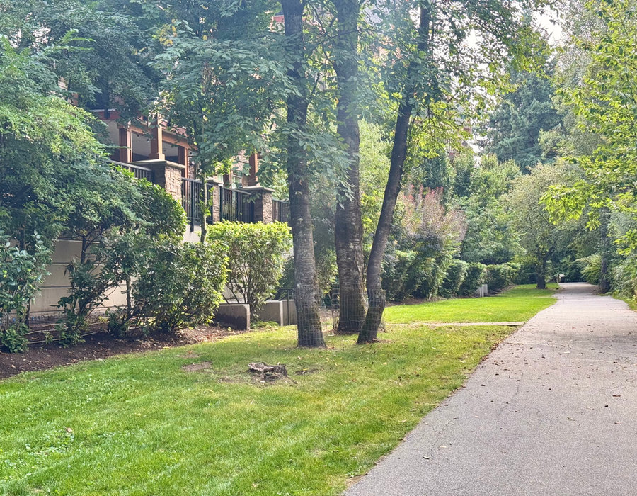 Gravel walking trail through a wooded park