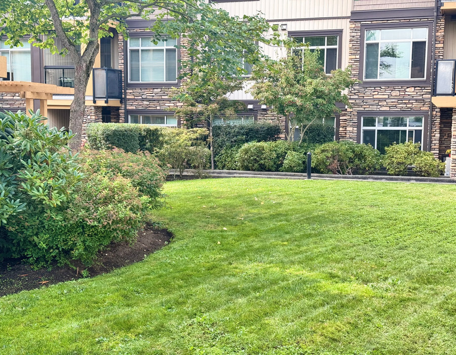 Wide mown lawn and mature trees at a residential complex