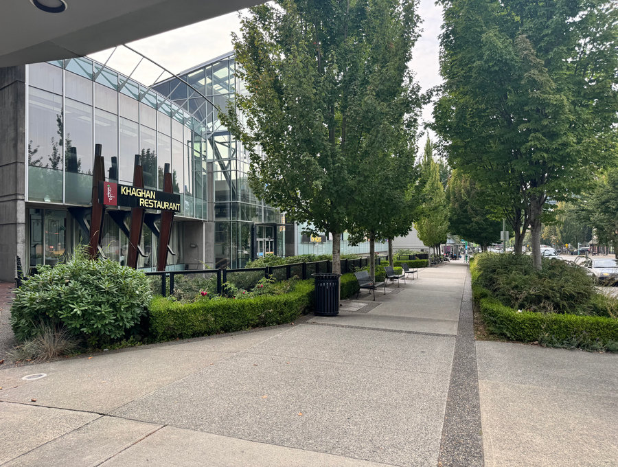 Tree lined commercial promenade with clipped hedges and seating