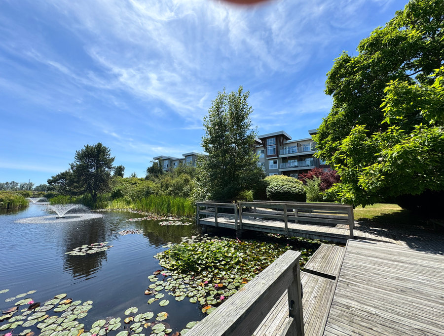 Pond with fountain and timber boardwalk in a landscaped community