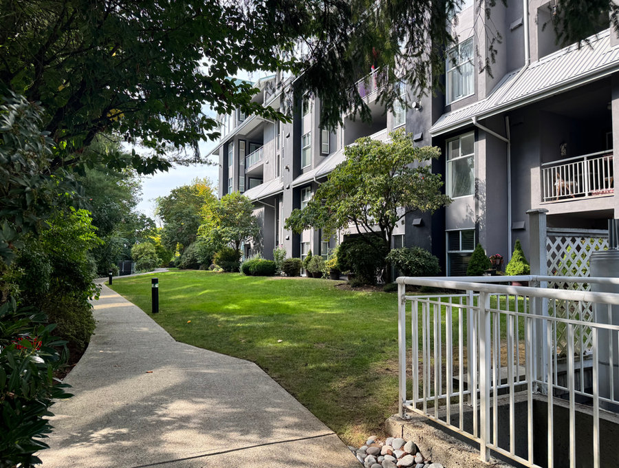 Walking path and lawn between residential buildings