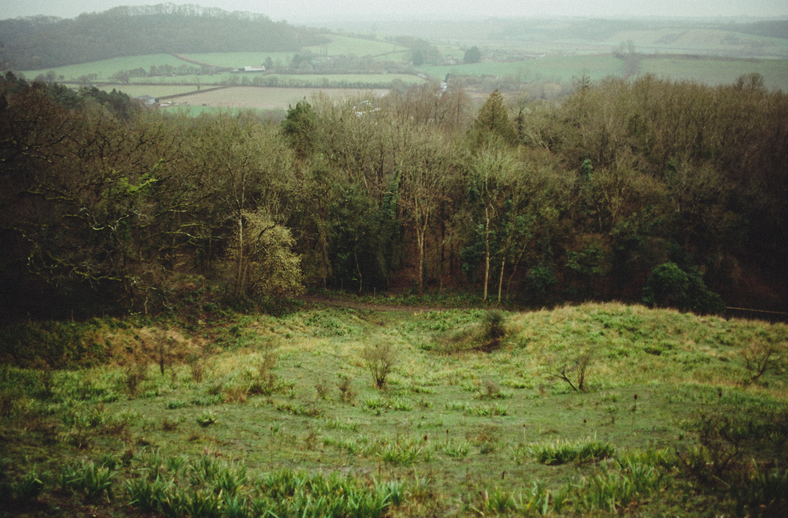 "Littleton Fields" - limited print by Polocho