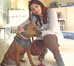 izmir köpek eğitimi