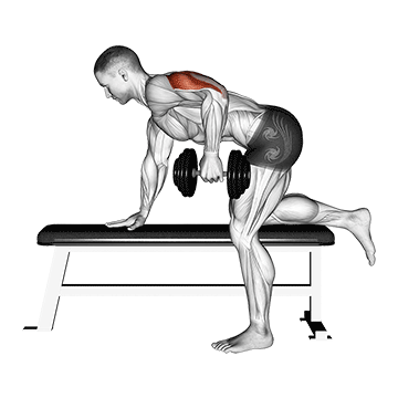triceps patada unilateral com halteres.gif