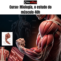 miologia 