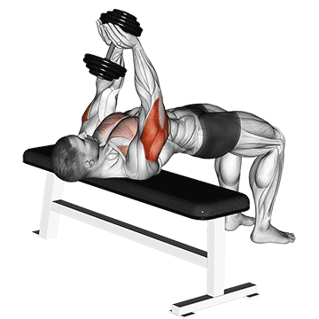 triceps.gif